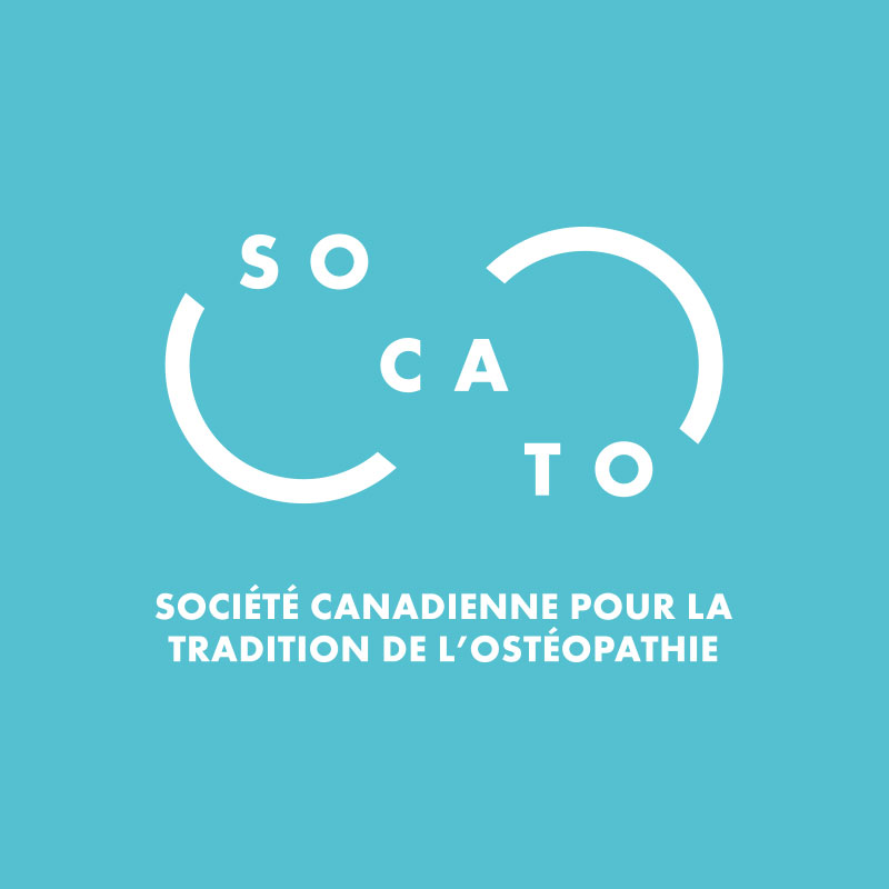 COVID-19 Annonce gouvernement du Québec (25 déc 2020 au 11 janv 2021)